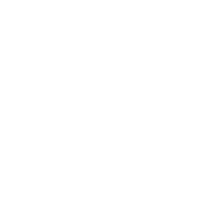 Pinnacle AI Pro